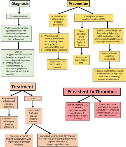 lv thrombus rivaroxaban|risk factors for lv thrombus.